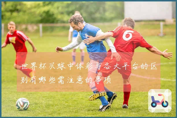 世界杯买球中体彩与各大平台的区别有哪些需注意的事项