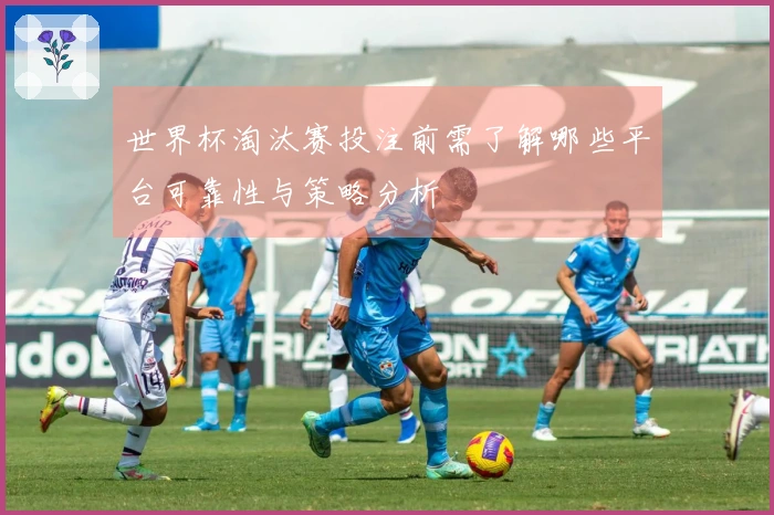 世界杯淘汰赛投注前需了解哪些平台可靠性与策略分析