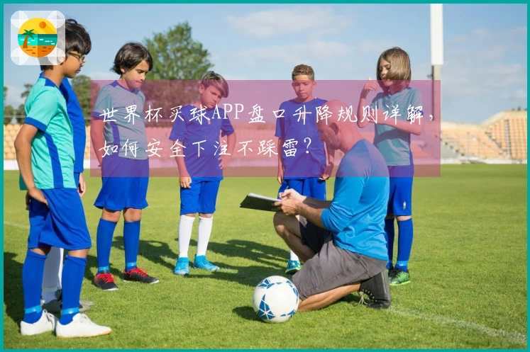世界杯买球APP盘口升降规则详解,如何安全下注不踩雷?