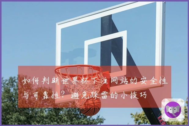 如何判断世界杯下注网站的安全性与可靠性？避免踩雷的小技巧