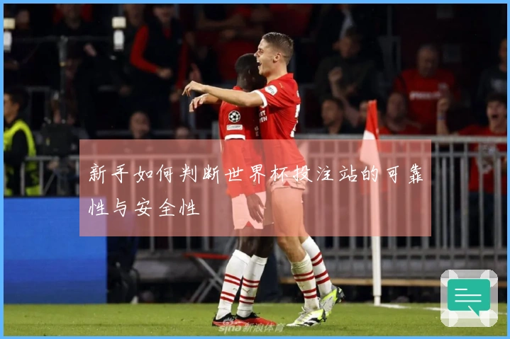 新手如何判断世界杯投注站的可靠性与安全性