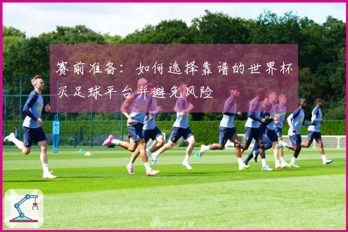 赛前准备：如何选择靠谱的世界杯买足球平台并避免风险