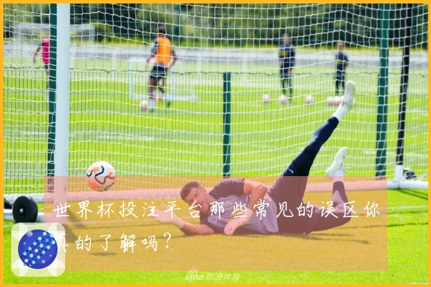 世界杯投注平台那些常见的误区你真的了解吗?