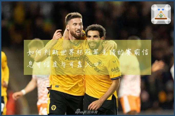 如何判断世界杯冠军竞猜的赛前信息可信度与可靠入口