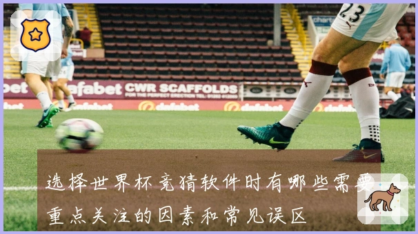 选择世界杯竞猜软件时有哪些需要重点关注的因素和常见误区
