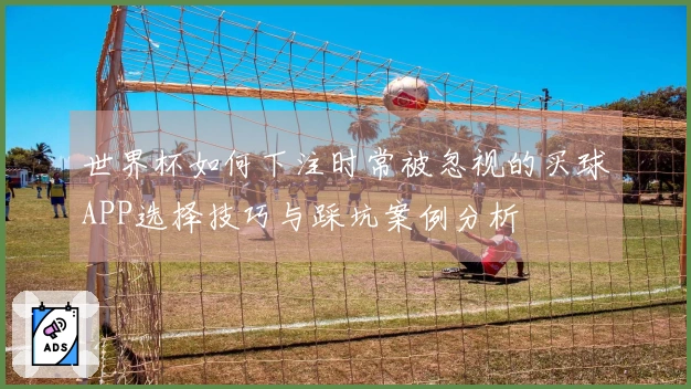 世界杯如何下注时常被忽视的买球APP选择技巧与踩坑案例分析
