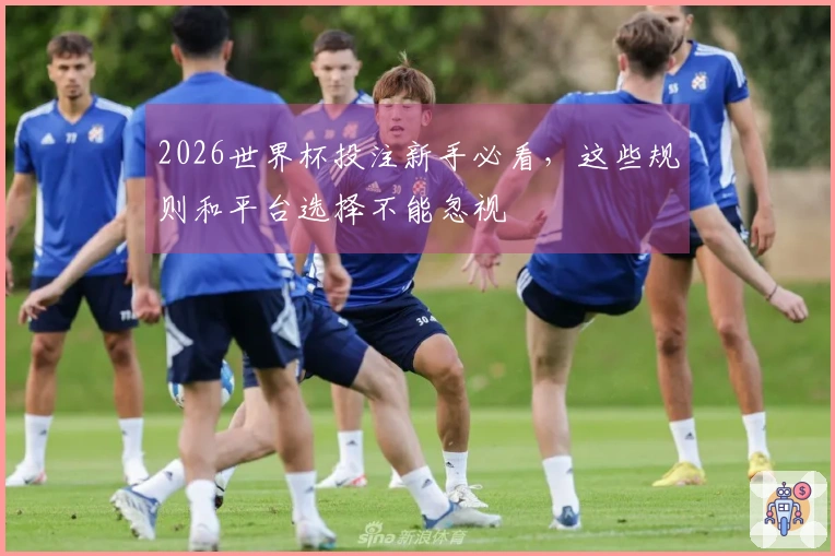 2026世界杯投注新手必看，这些规则和平台选择不能忽视