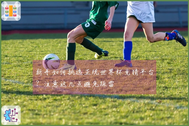 新手如何挑选正规世界杯竞猜平台？注意这几点避免踩雷