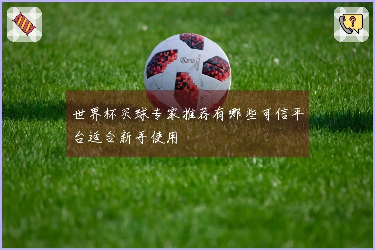 世界杯买球专家推荐有哪些可信平台适合新手使用