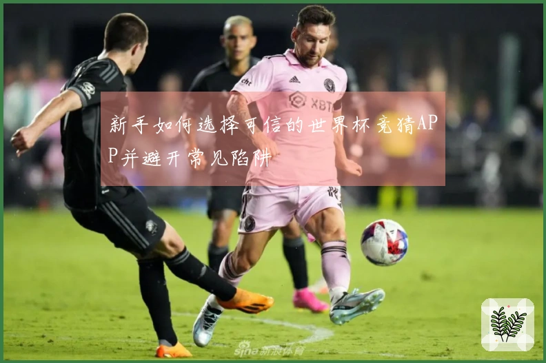 新手如何选择可信的世界杯竞猜APP并避开常见陷阱