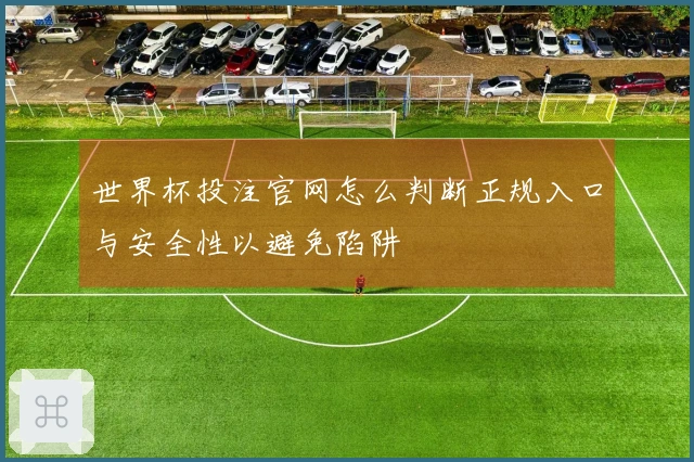 世界杯投注官网怎么判断正规入口与安全性以避免陷阱