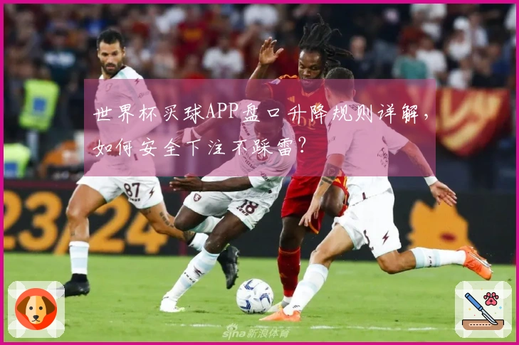 世界杯买球APP盘口升降规则详解，如何安全下注不踩雷？