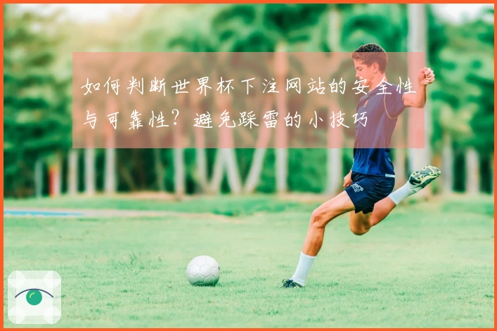 如何判断世界杯下注网站的安全性与可靠性？避免踩雷的小技巧