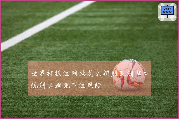 世界杯投注网站怎么辨别亚洲盘口规则以避免下注风险