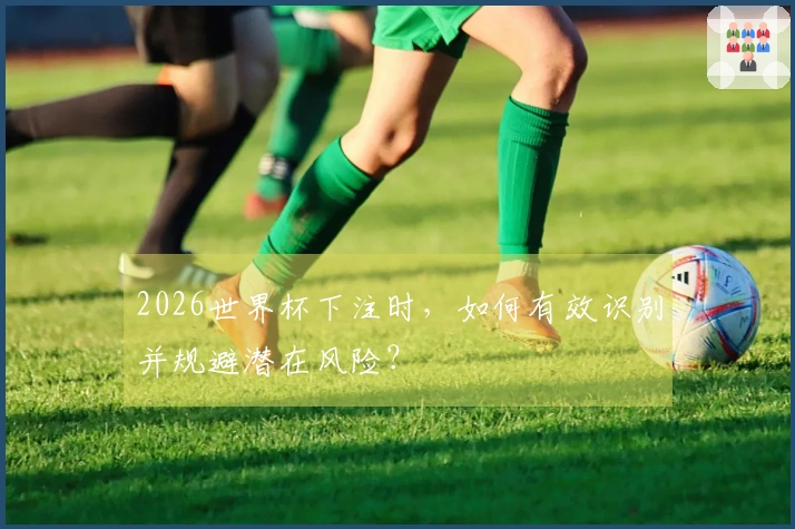2026世界杯下注时，如何有效识别并规避潜在风险？
