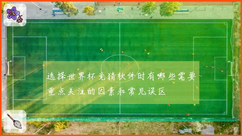 选择世界杯竞猜软件时有哪些需要重点关注的因素和常见误区