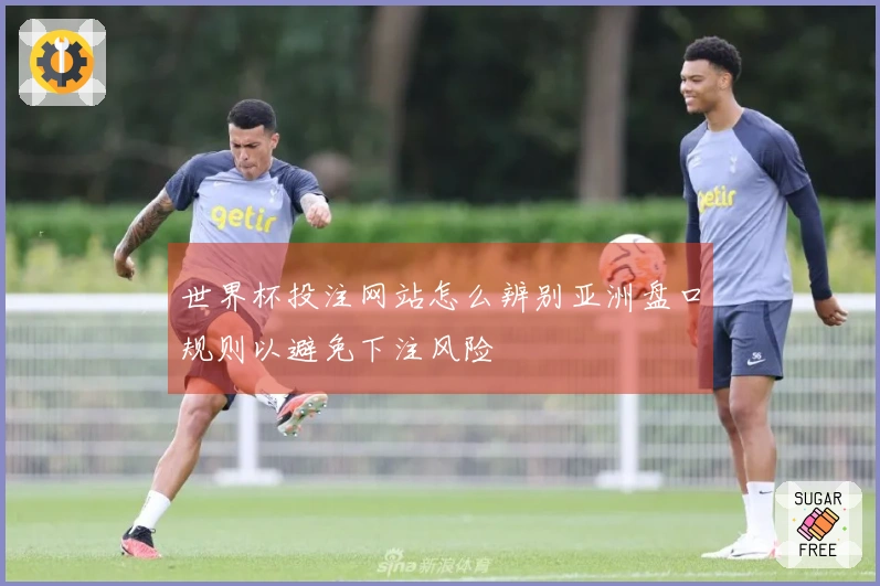 世界杯投注网站怎么辨别亚洲盘口规则以避免下注风险