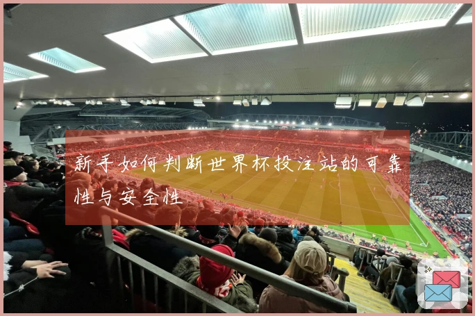新手如何判断世界杯投注站的可靠性与安全性