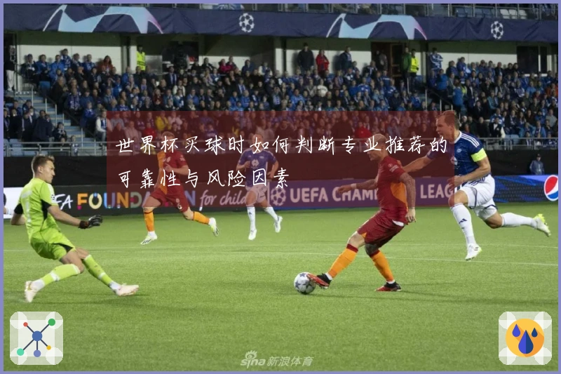 世界杯买球时如何判断专业推荐的可靠性与风险因素