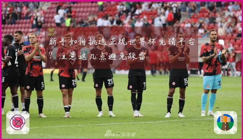 新手如何挑选正规世界杯竞猜平台？注意这几点避免踩雷