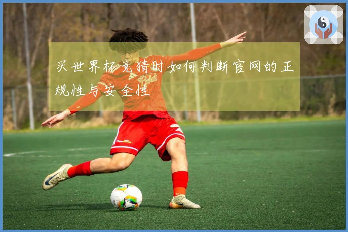 买世界杯竞猜时如何判断官网的正规性与安全性