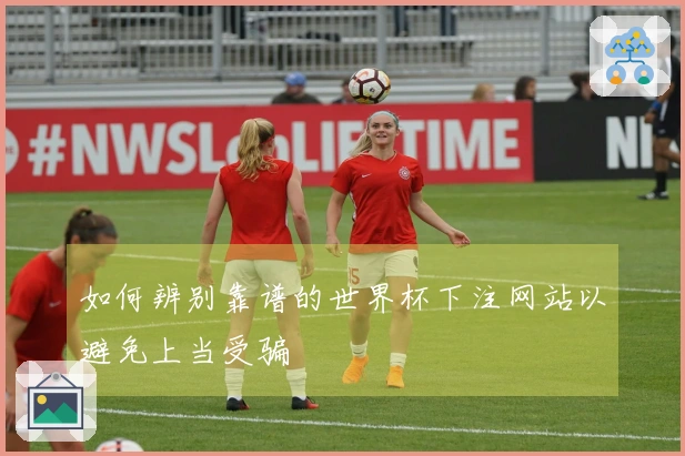 如何辨别靠谱的世界杯下注网站以避免上当受骗