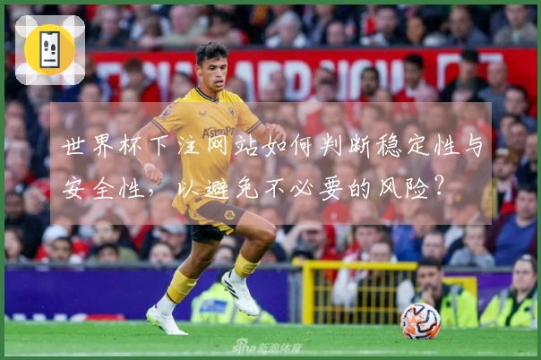 世界杯下注网站如何判断稳定性与安全性，以避免不必要的风险？
