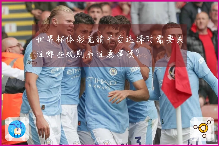 世界杯体彩竞猜平台选择时需要关注哪些规则和注意事项？