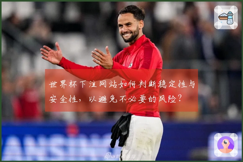 世界杯下注网站如何判断稳定性与安全性，以避免不必要的风险？