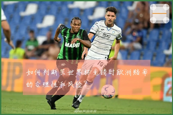 如何判断买世界杯竞猜时欧洲赔率的合理性和风险？